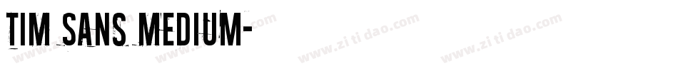 TIM Sans Medium字体转换